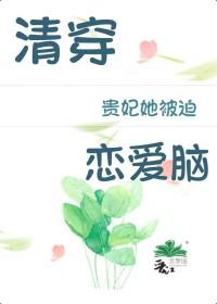 清穿同人清穿之贵妃她被迫恋爱脑